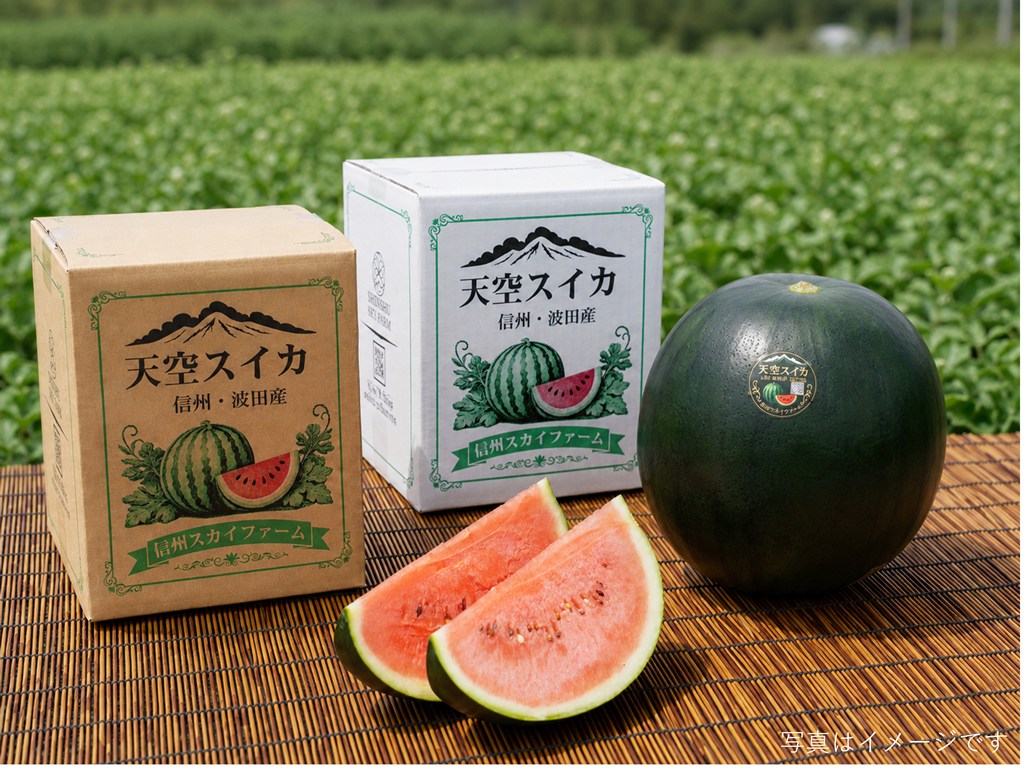 夏の贈り物としてのスイカイメージ